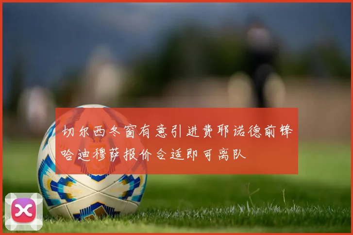 切尔西冬窗有意引进费耶诺德前锋哈迪穆萨报价合适即可离队